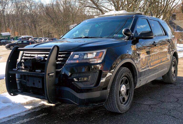 Fallen Sergeant's Daughter Now Patrols Greenville County