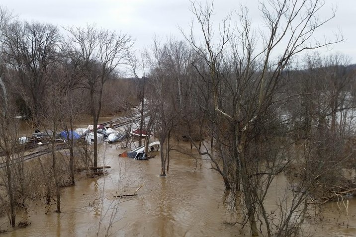Floodwater covering a wooded area